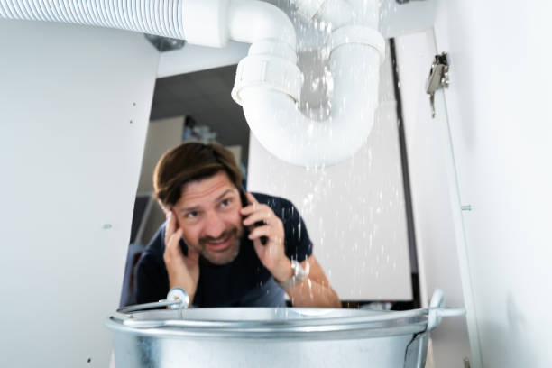 Best Clogged Drain Plumber  in Hagerman, ID